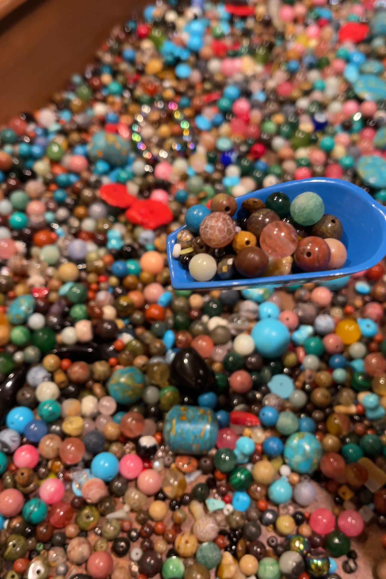 Crystal Bead Baggy
