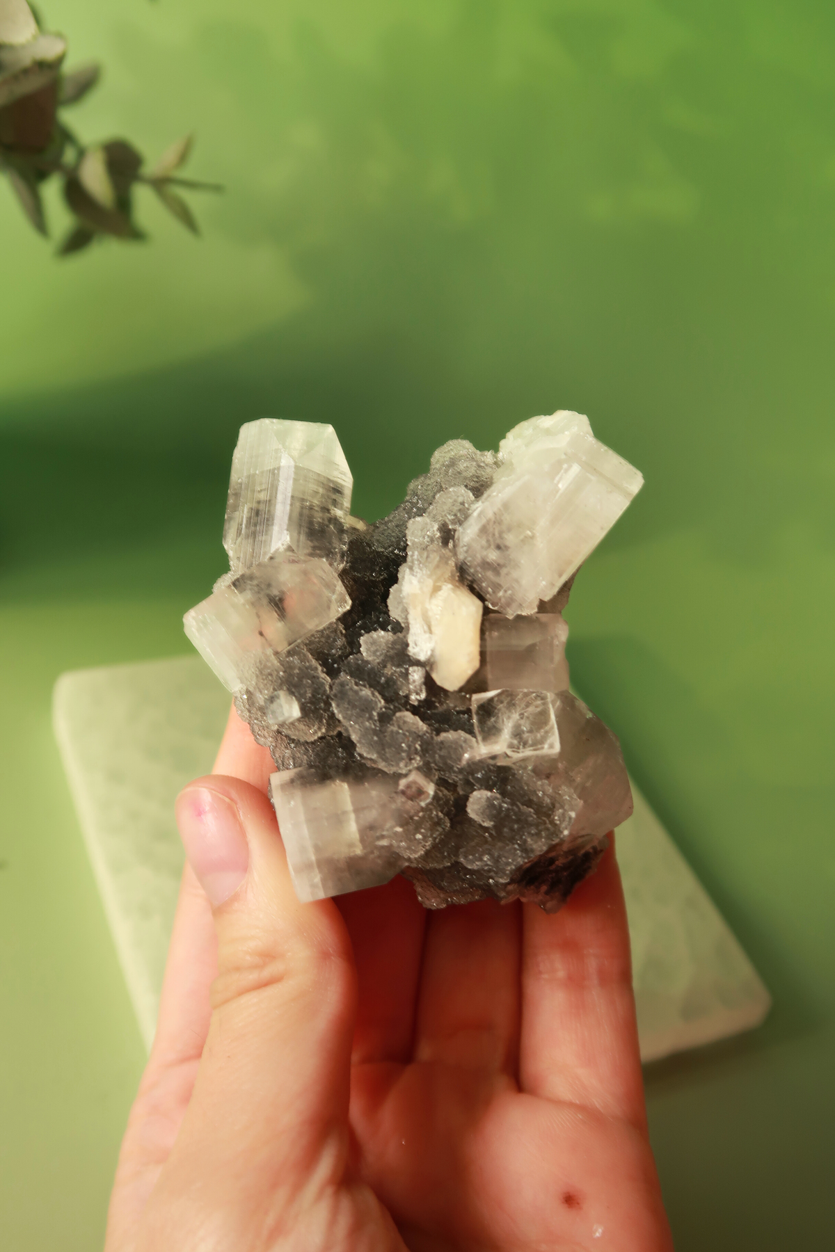 Apophyllite with Stilbite Specimen