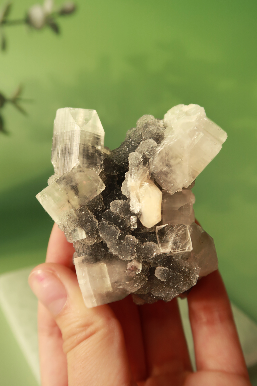 Apophyllite with Stilbite Specimen