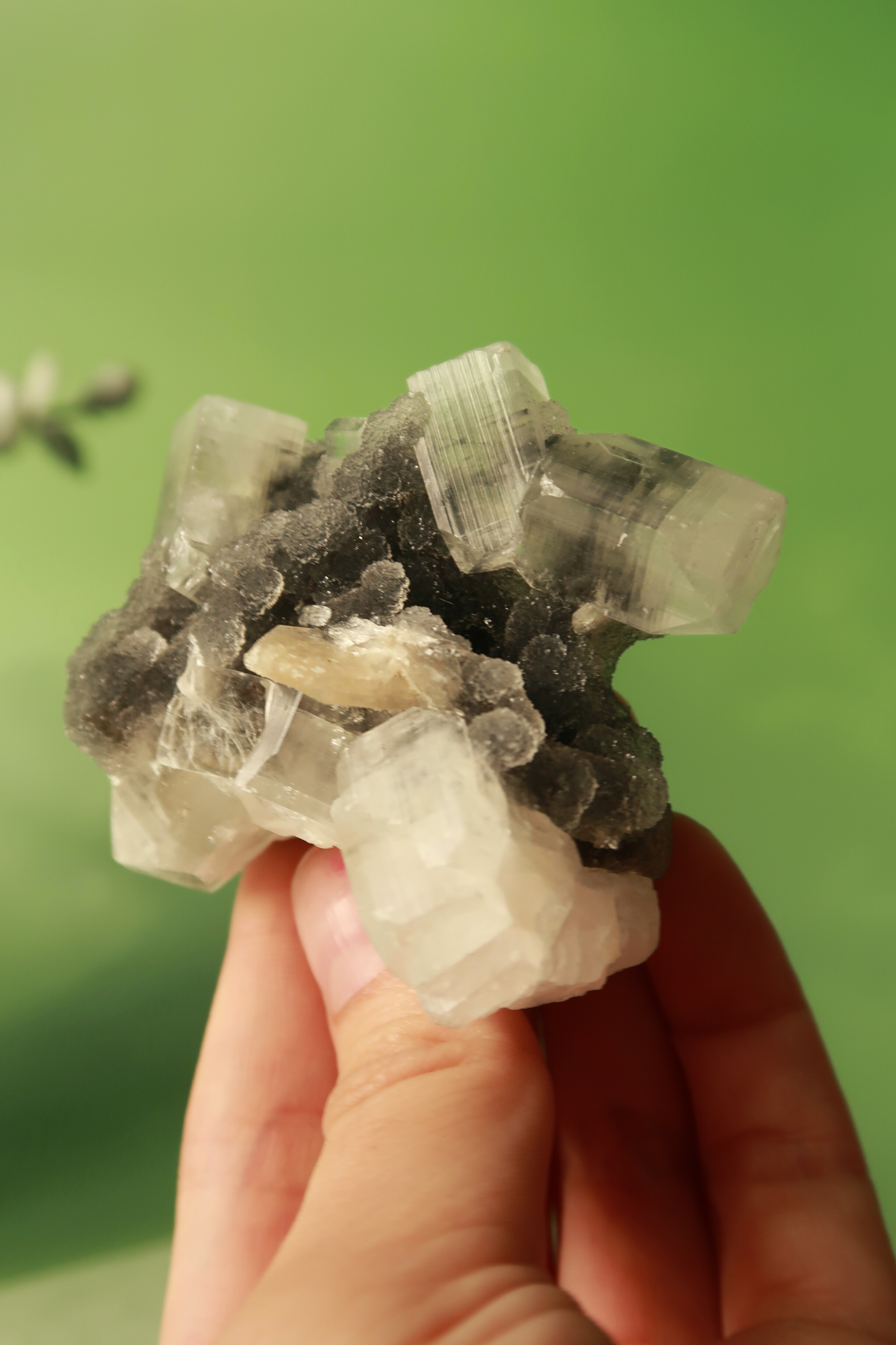 Apophyllite with Stilbite Specimen