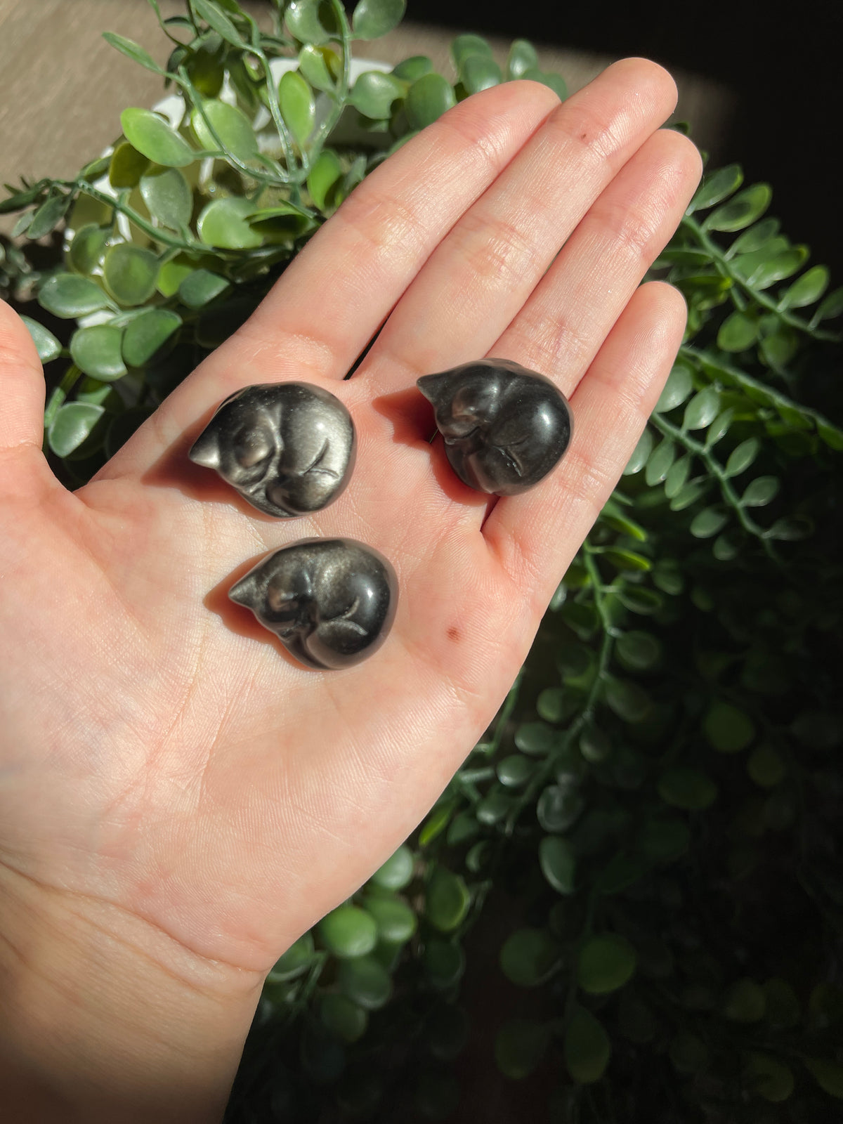 Silver Sheen Obsidian Cats