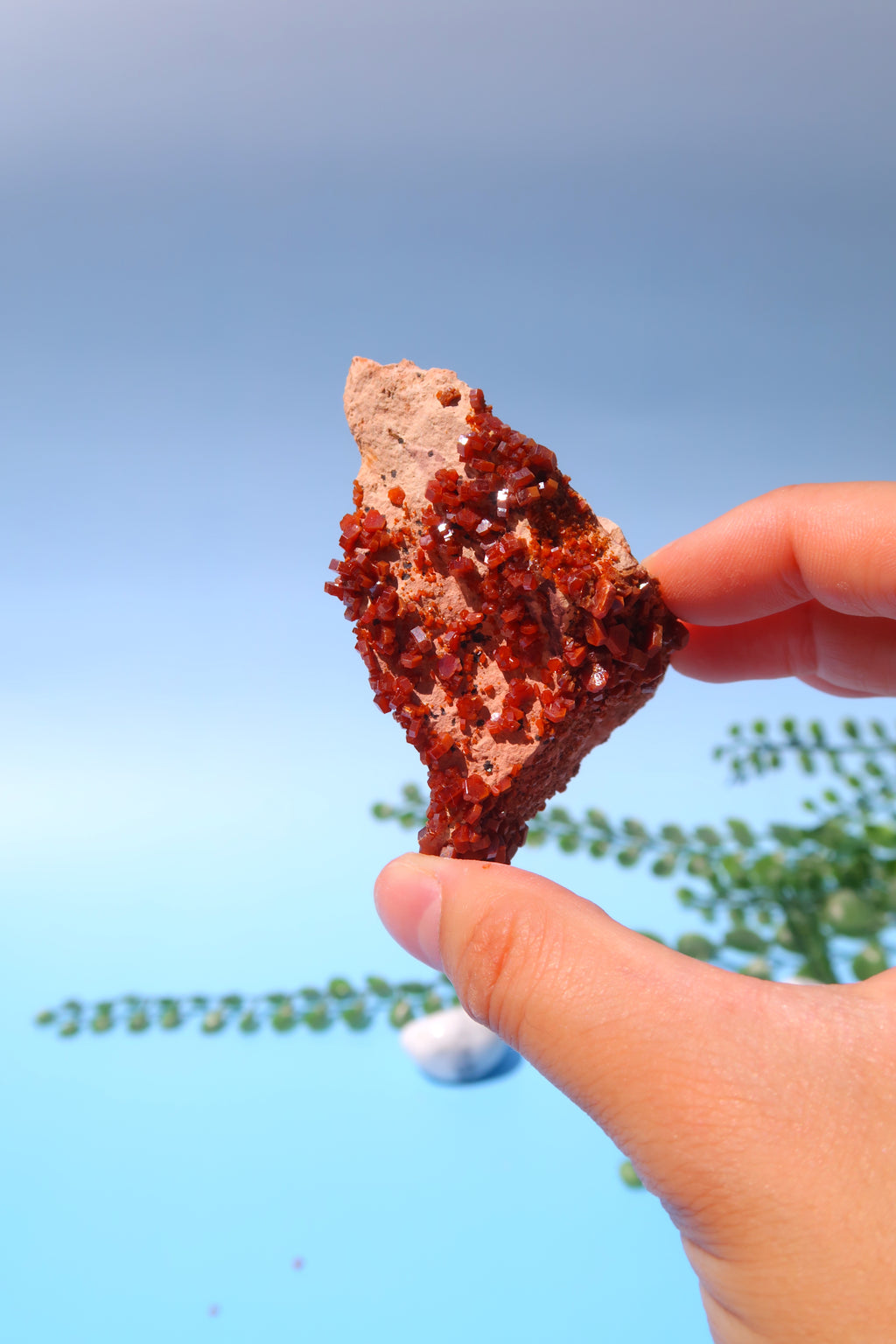 Vanandinite Specimen