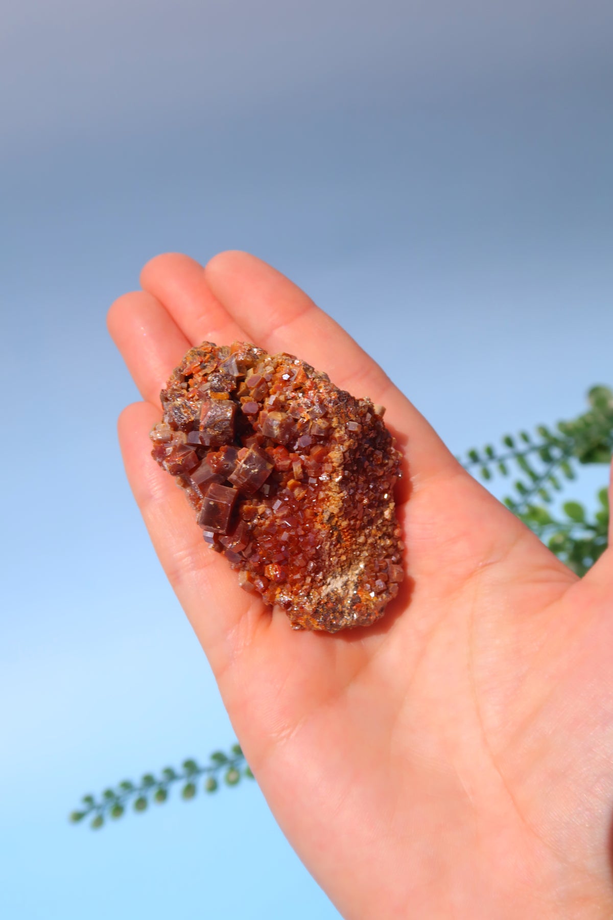 Vanandinite Specimen