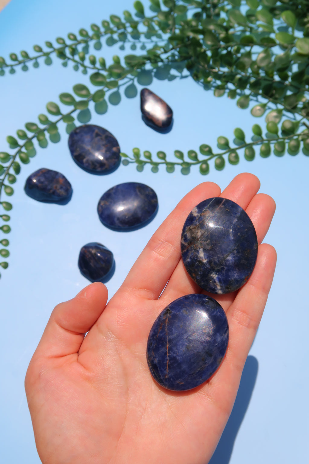 Sodalite Flat Stones