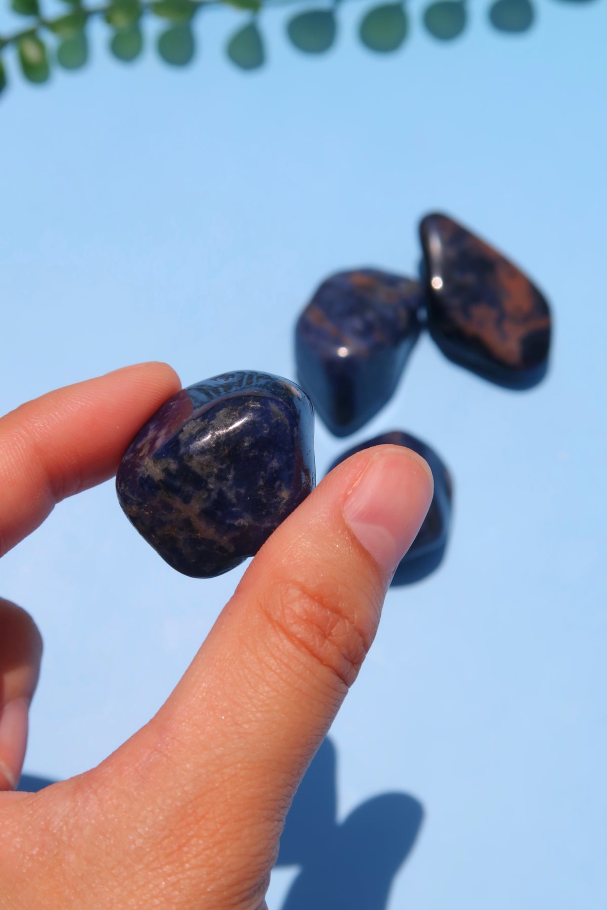 Sodalite Tumbles