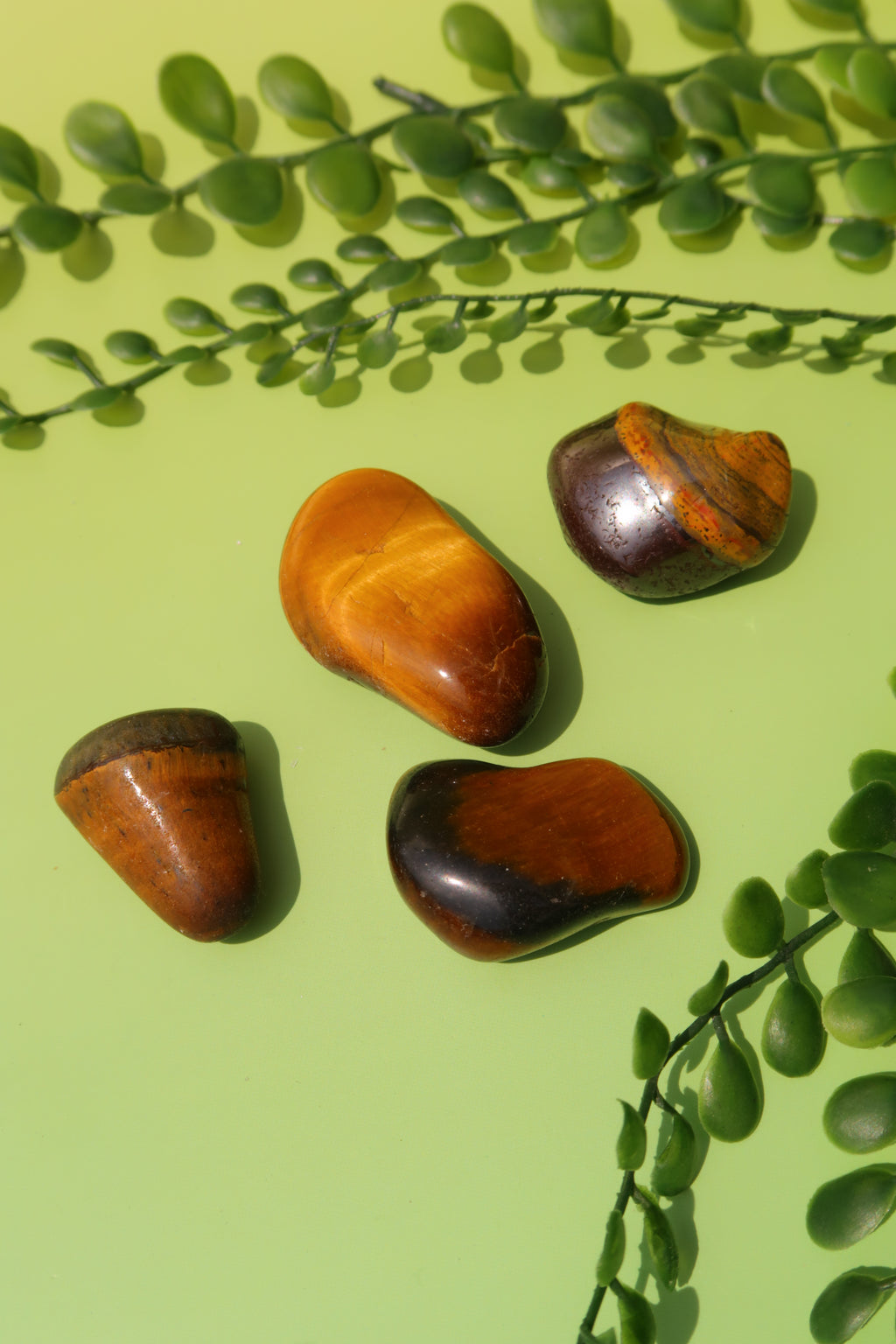 Tiger Eye Tumbles