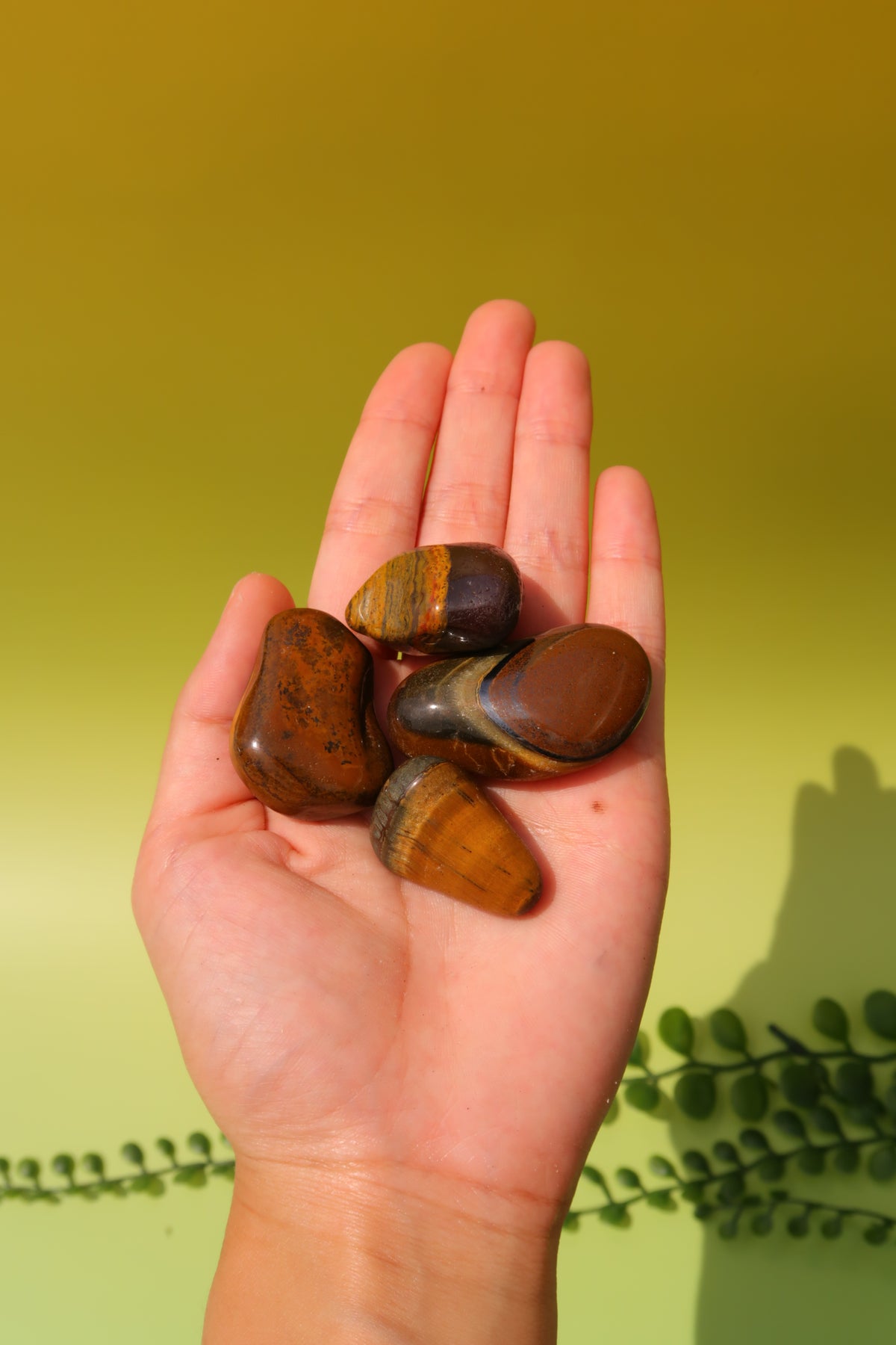 Tiger Eye Tumbles