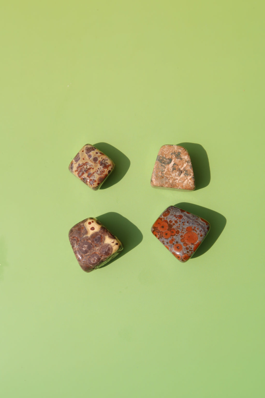 Leopard Skin Jasper Tumbles