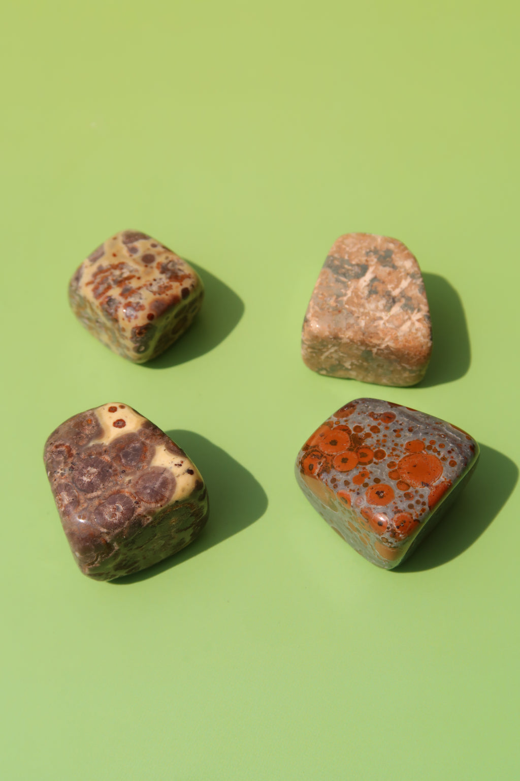 Leopard Skin Jasper Tumbles