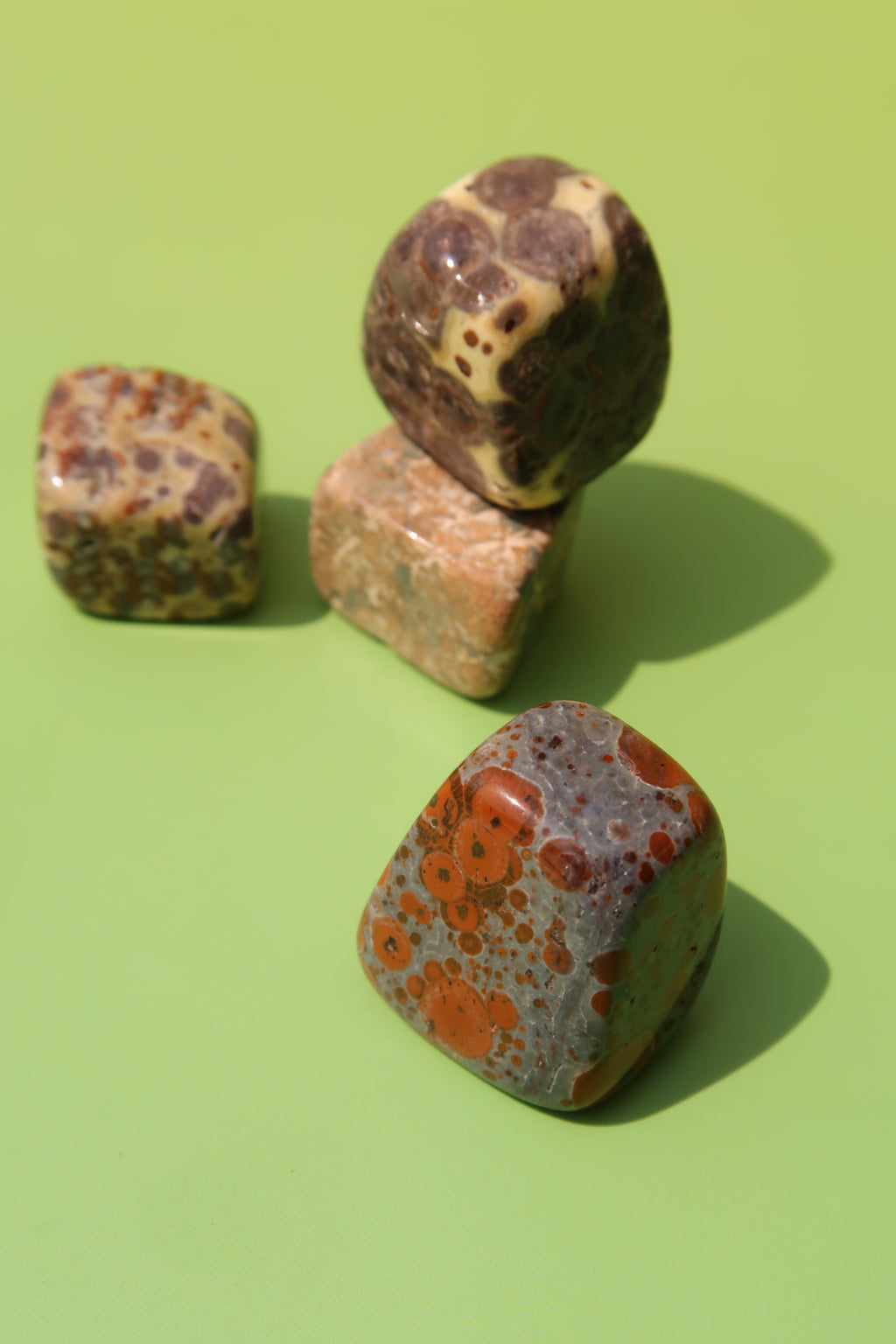 Leopard Skin Jasper Tumbles