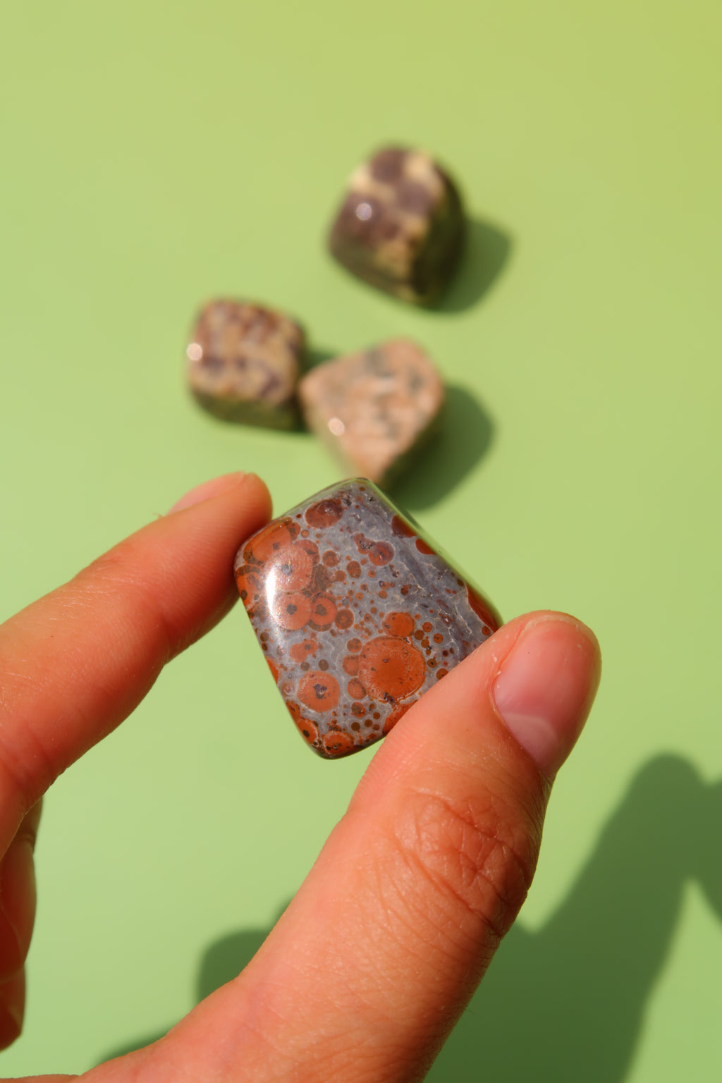 Leopard Skin Jasper Tumbles