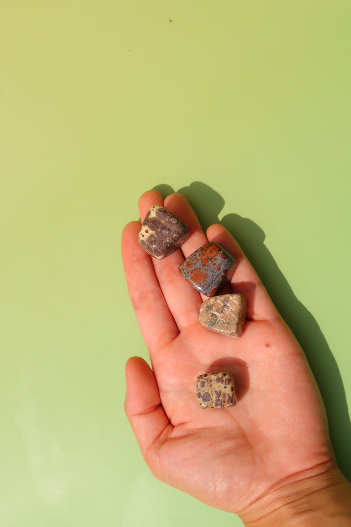 Leopard Skin Jasper Tumbles