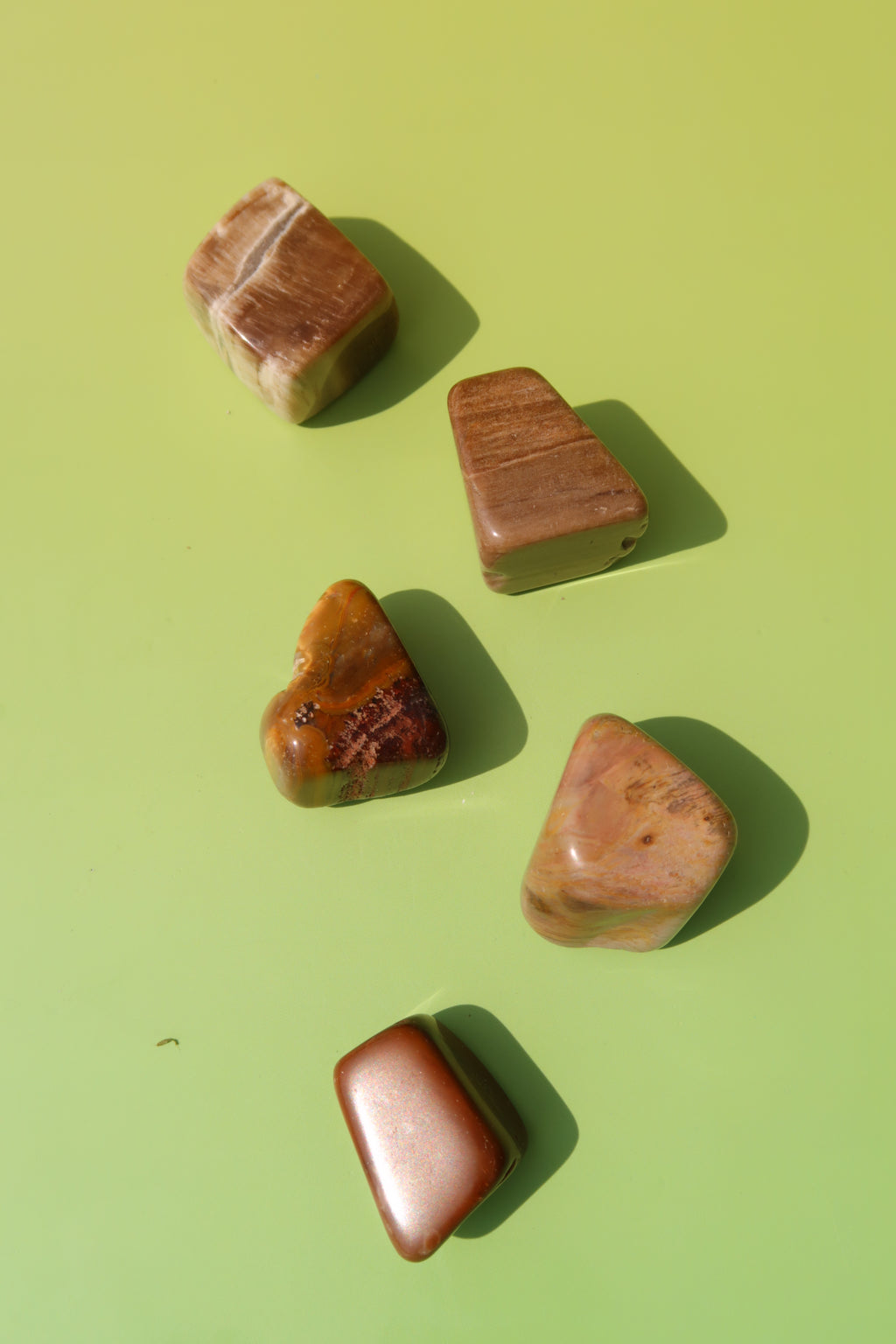 Petrified Wood Tumbles
