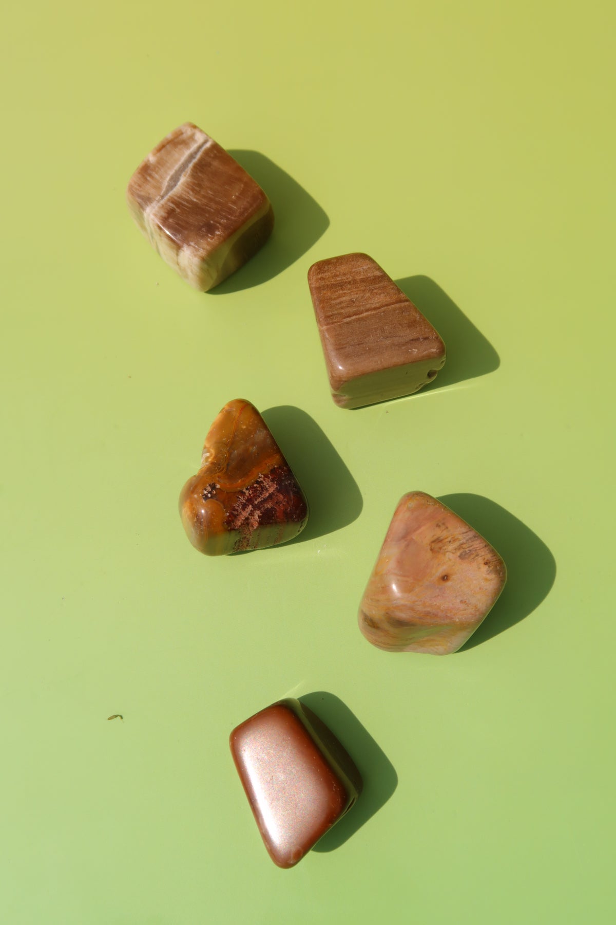 Petrified Wood Tumbles