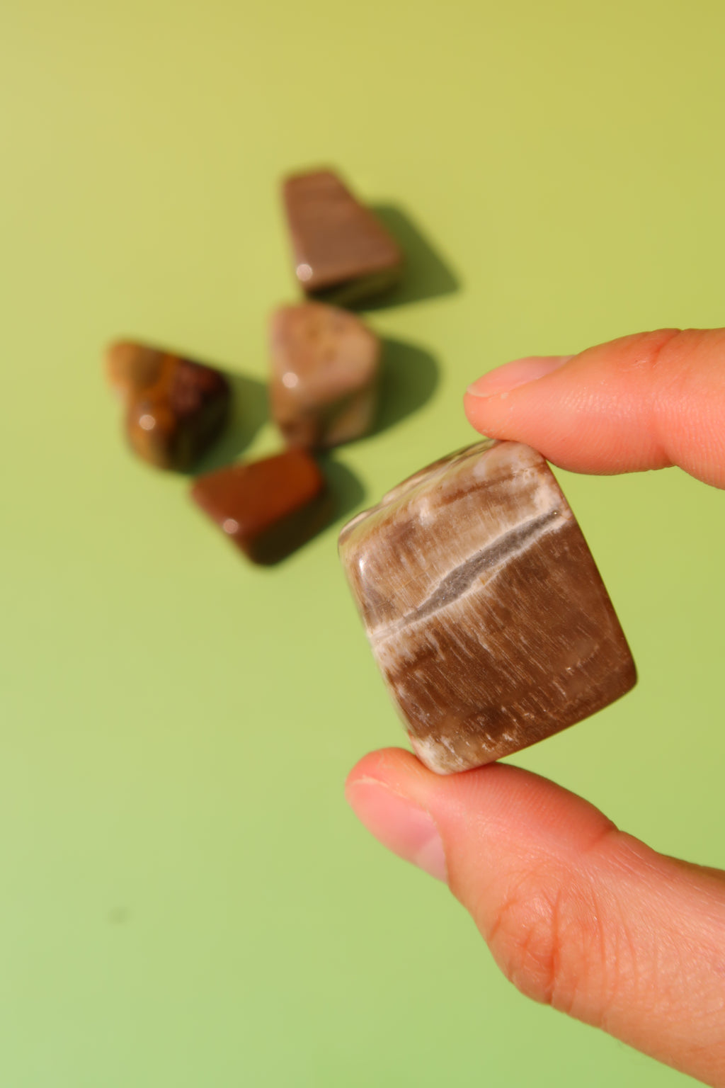 Petrified Wood Tumbles