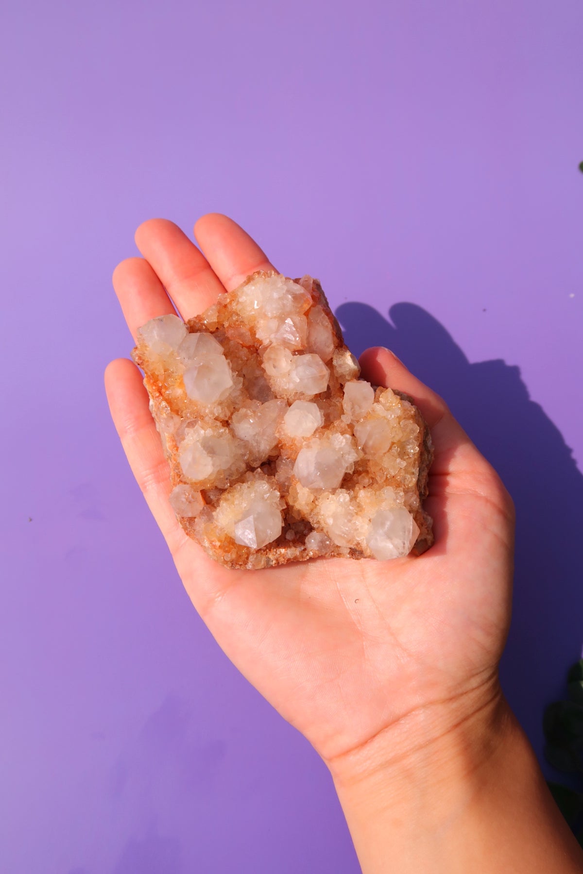Raw Quartz Cluster Specimen