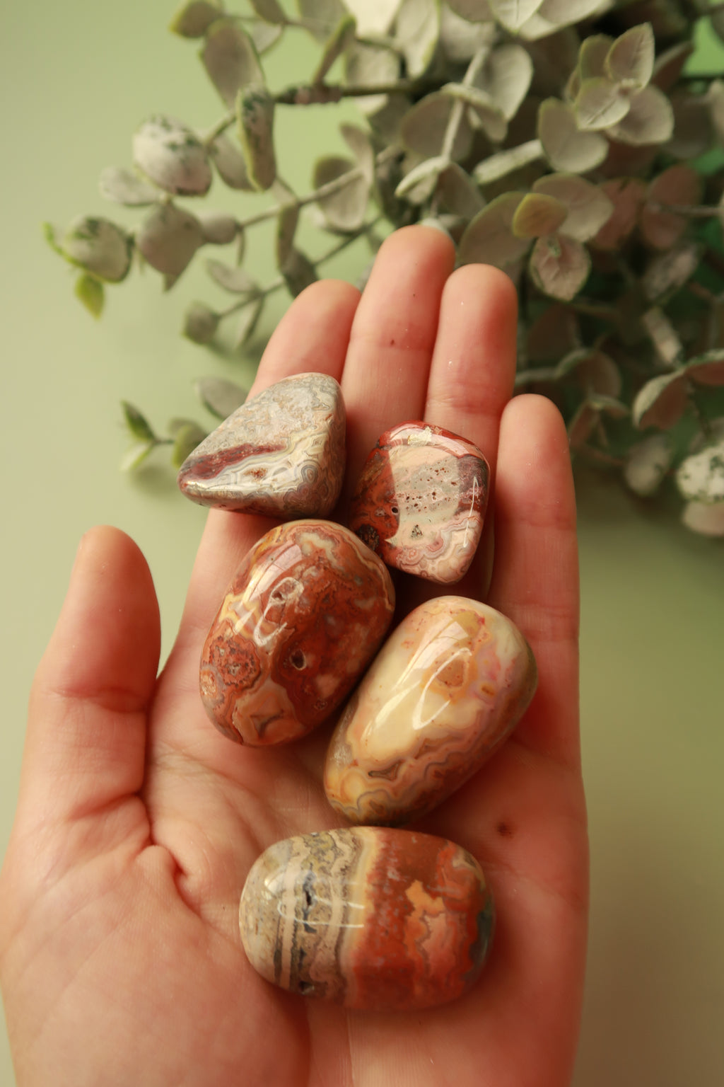 Mexican Crazy Lace Agate