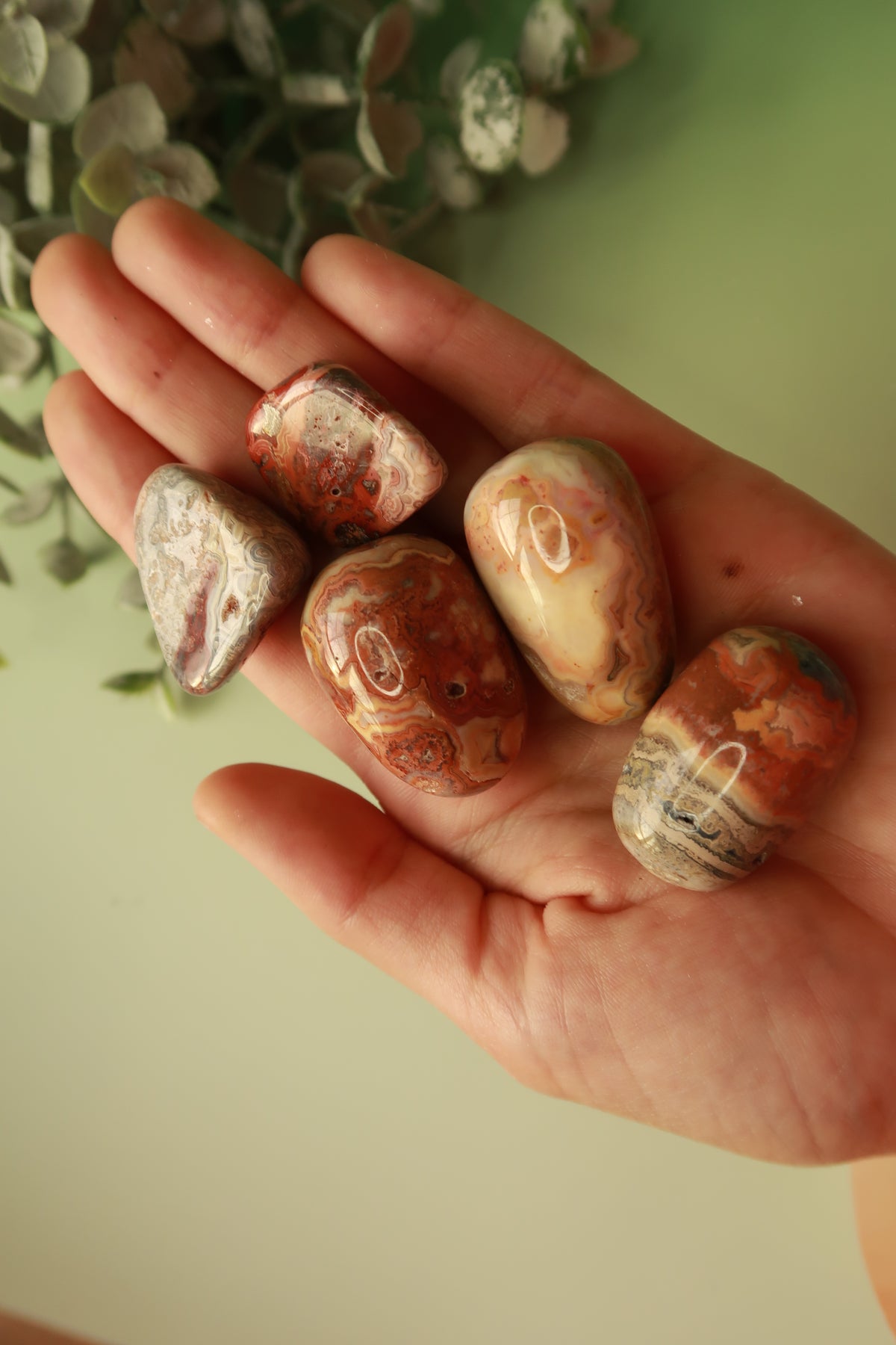 Mexican Crazy Lace Agate