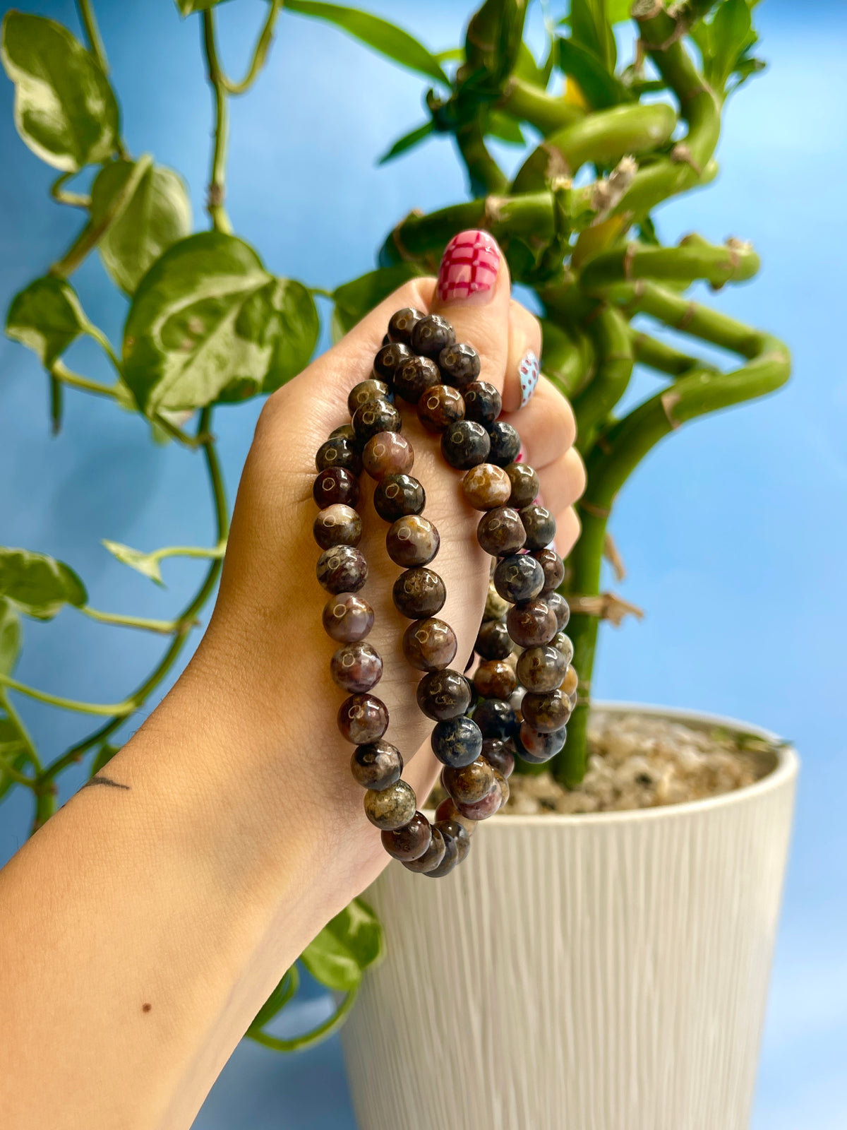 Pietersite Bracelet