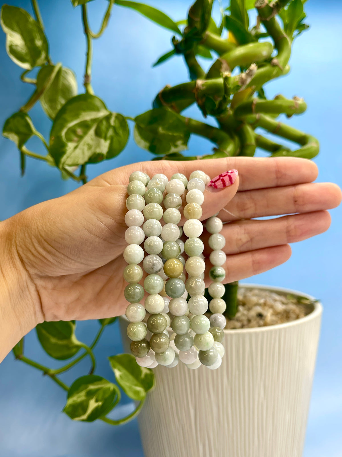 Burmese Jade Bracelet