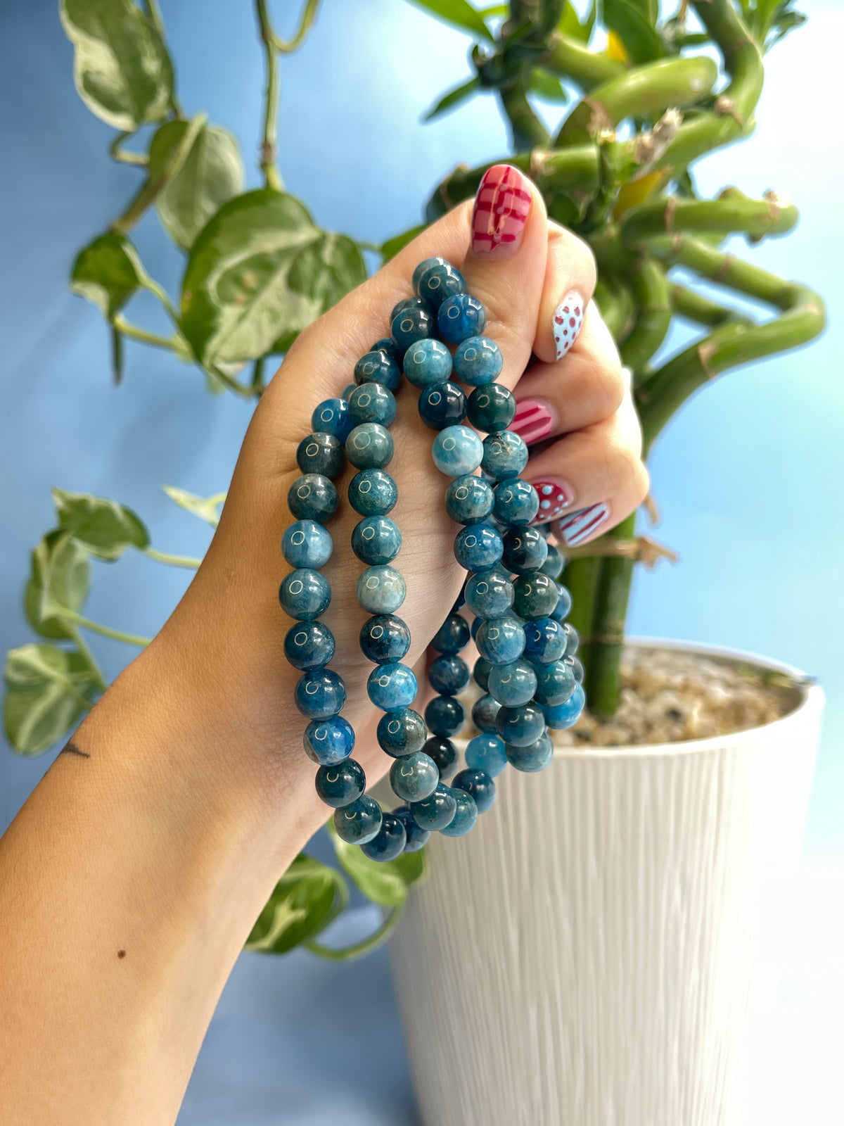 Apatite Bracelet