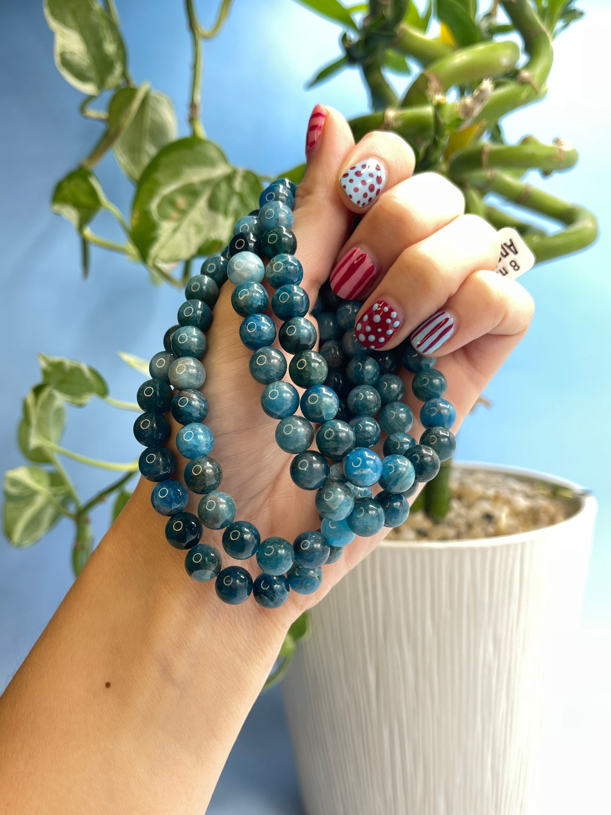 Apatite Bracelet
