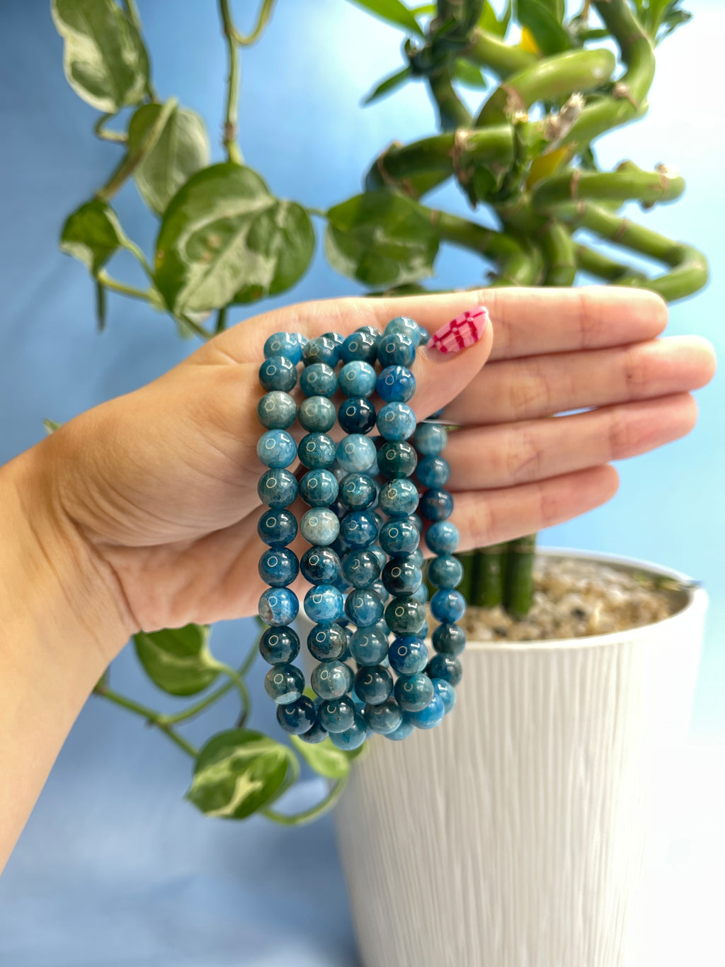 Apatite Bracelet