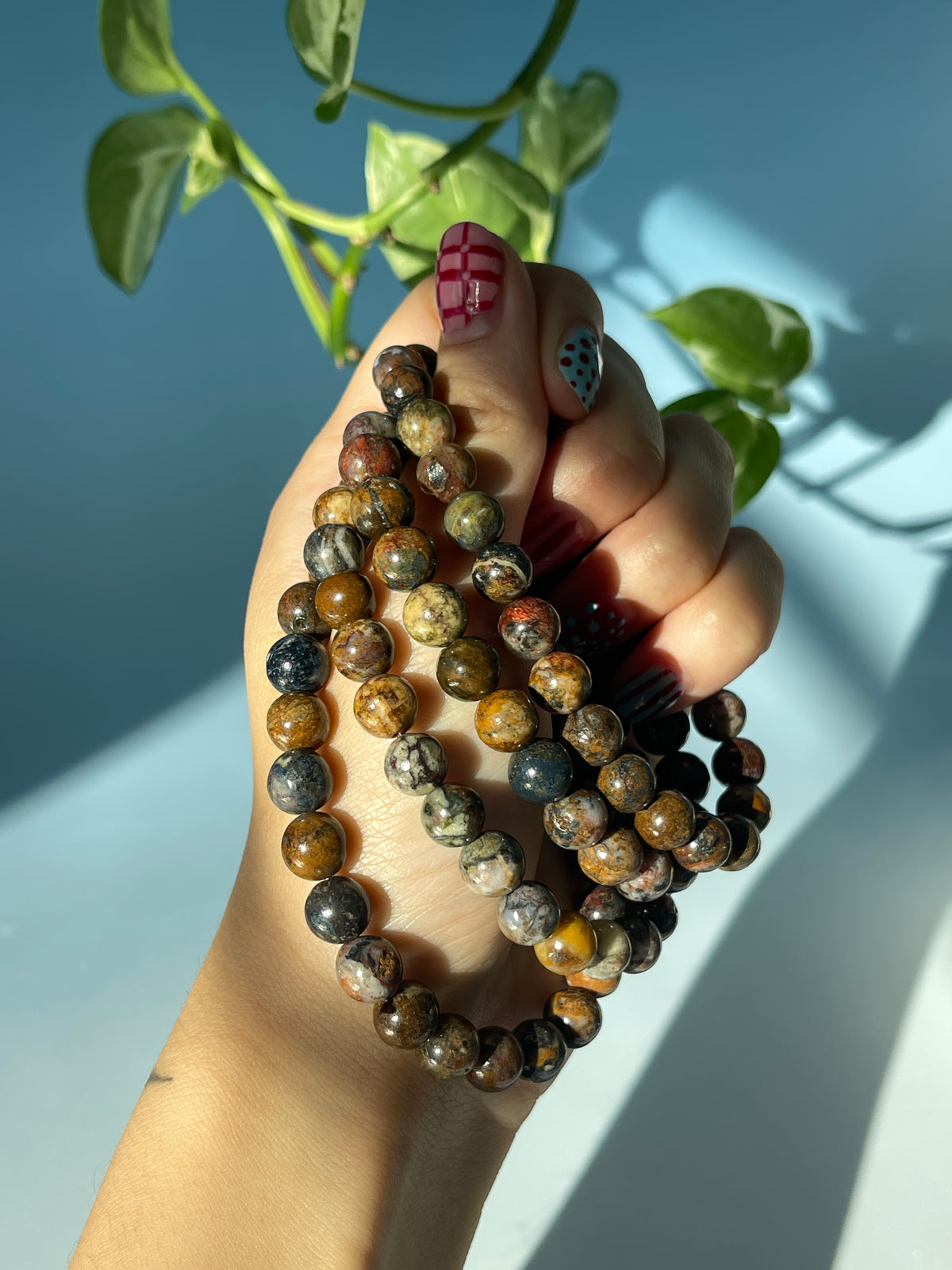 Pietersite Bracelet