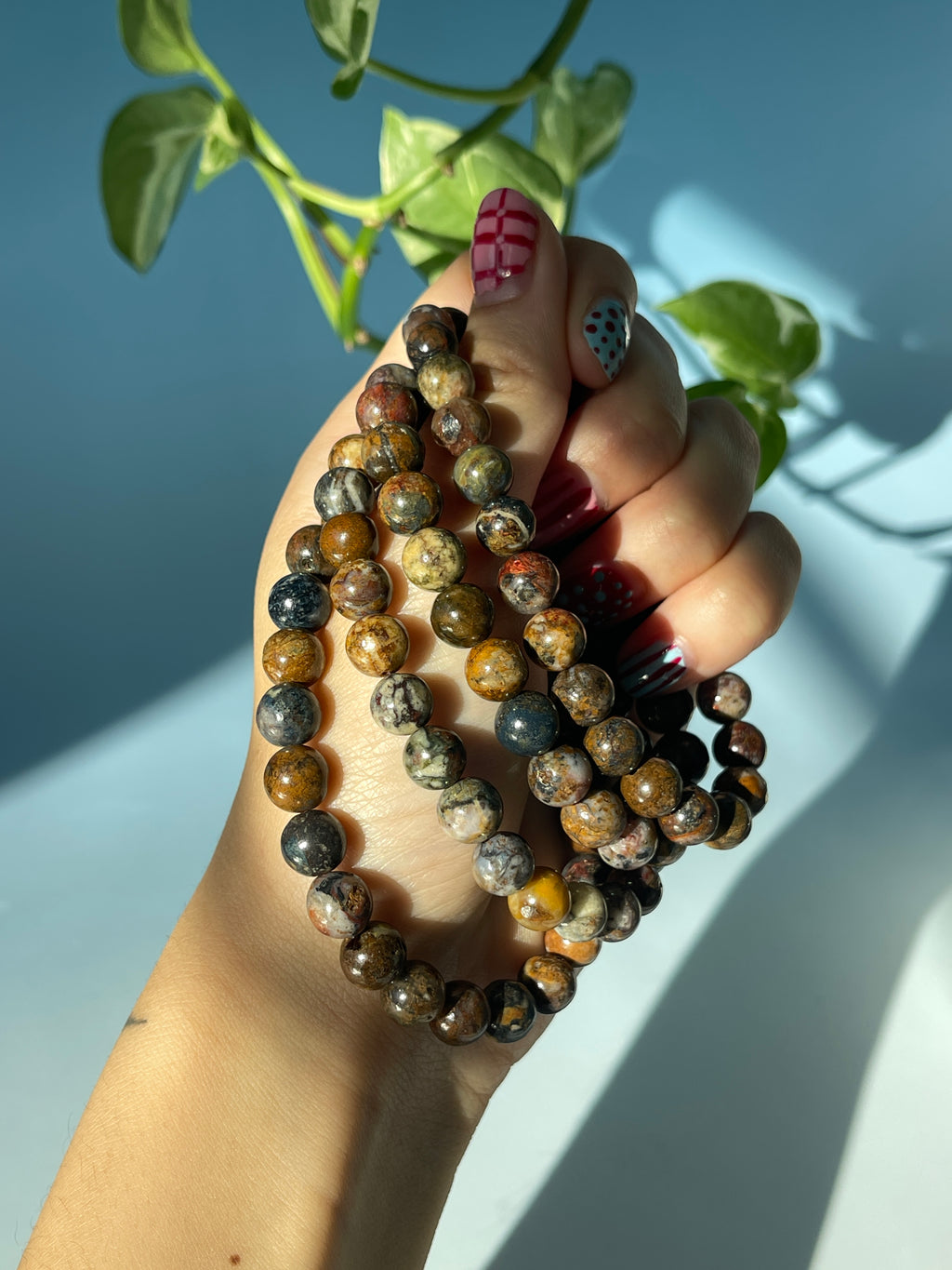 Pietersite Bracelet