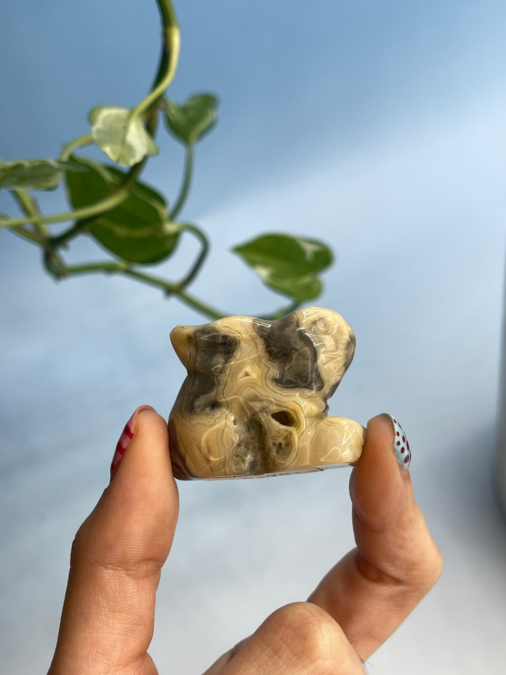 Carved Crazy Lace Agate Bunny