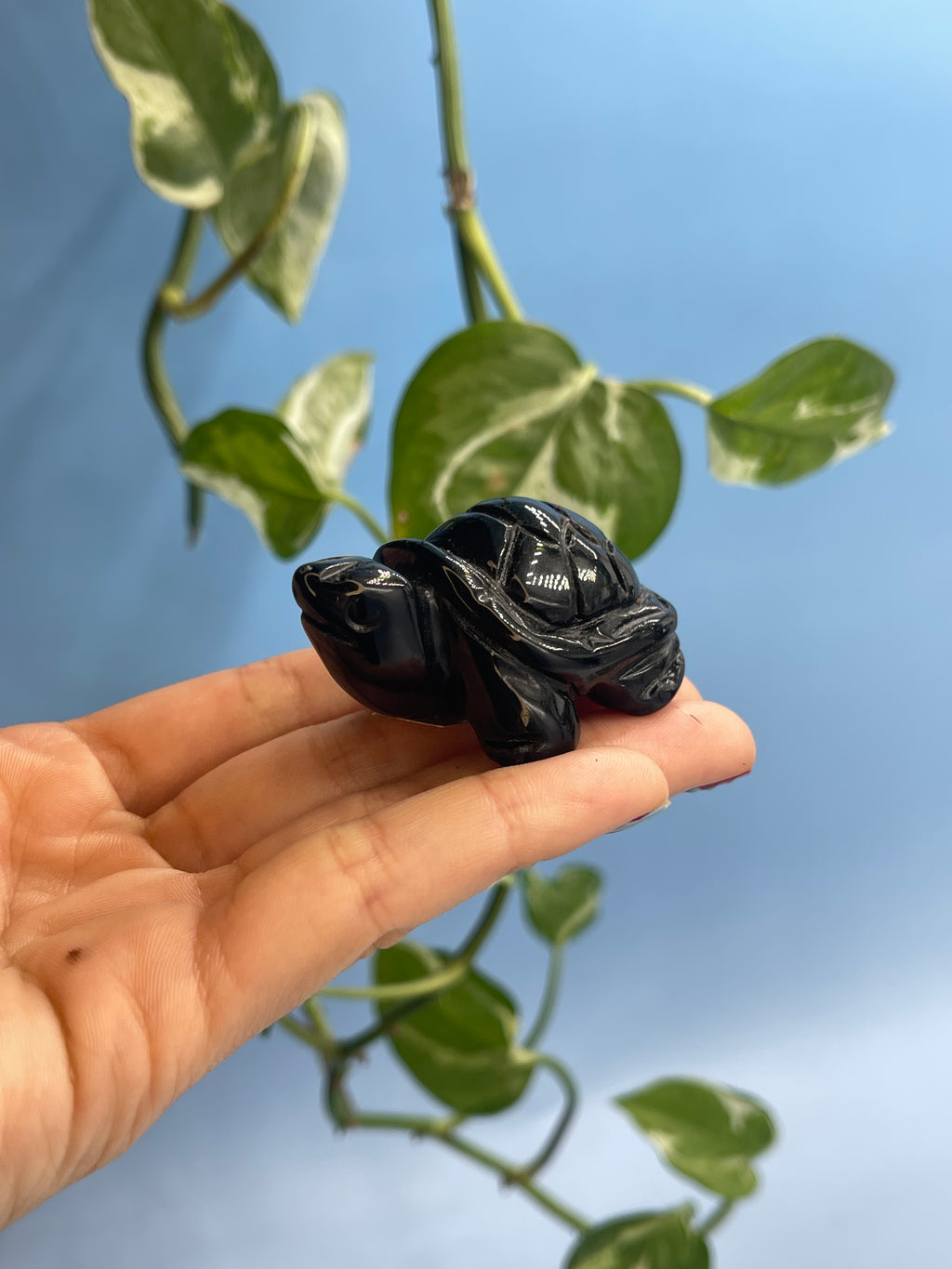 Carved Crystal Turtle