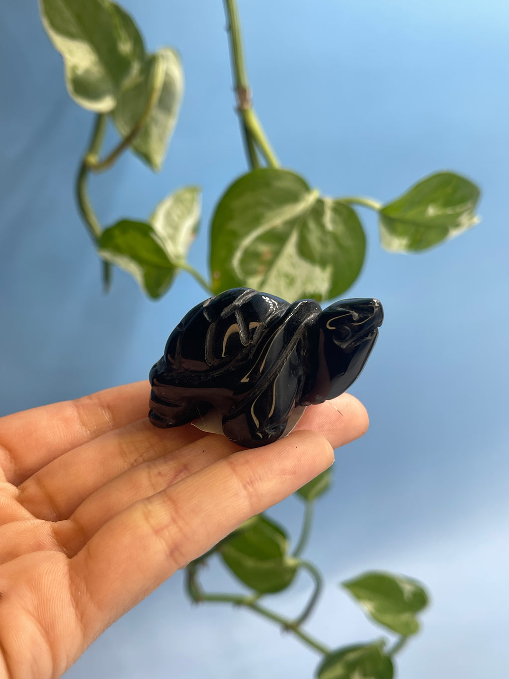 Carved Crystal Turtle