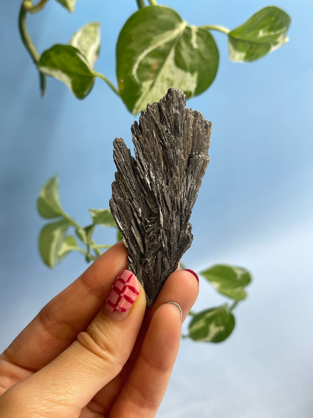 Black Kyanite