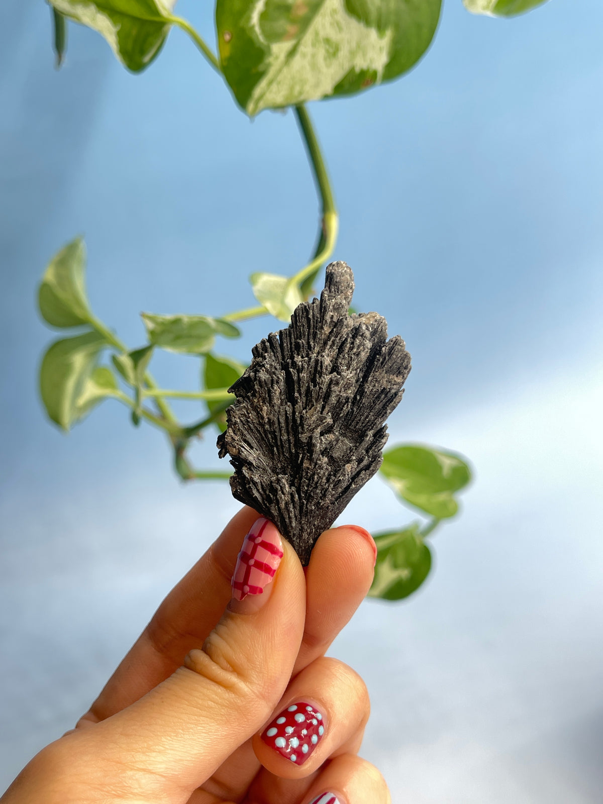 Black Kyanite