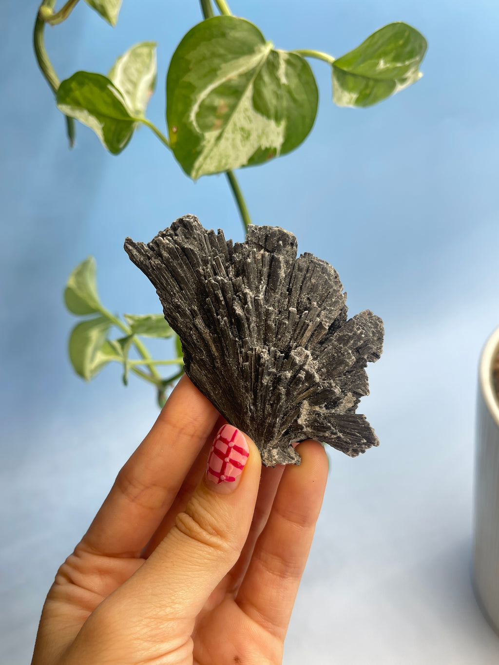 Black Kyanite