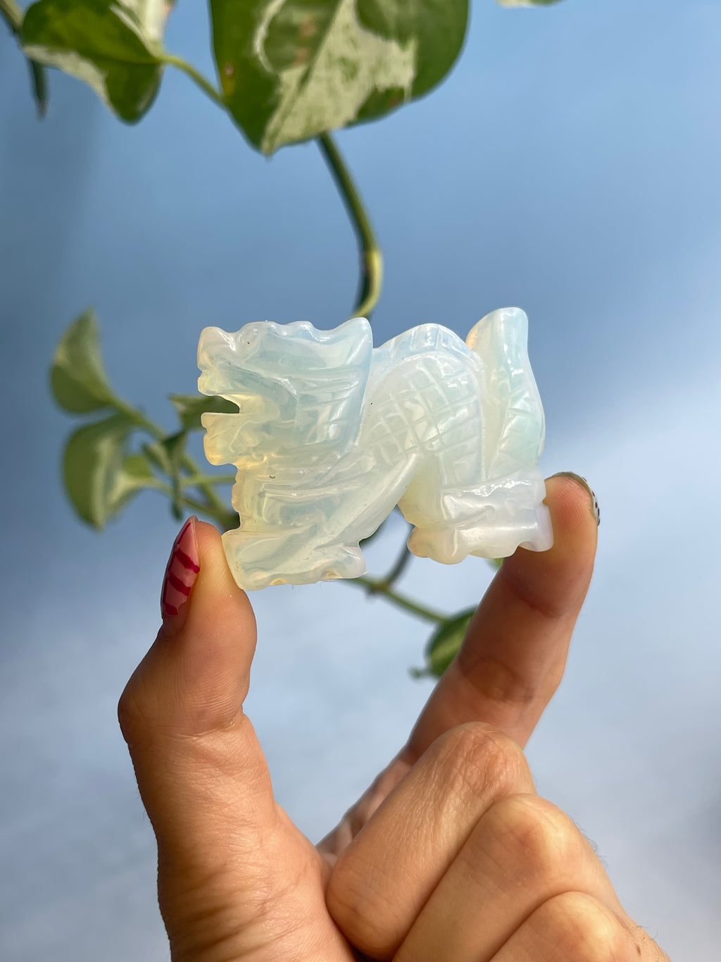 Carved Dragon Crystals
