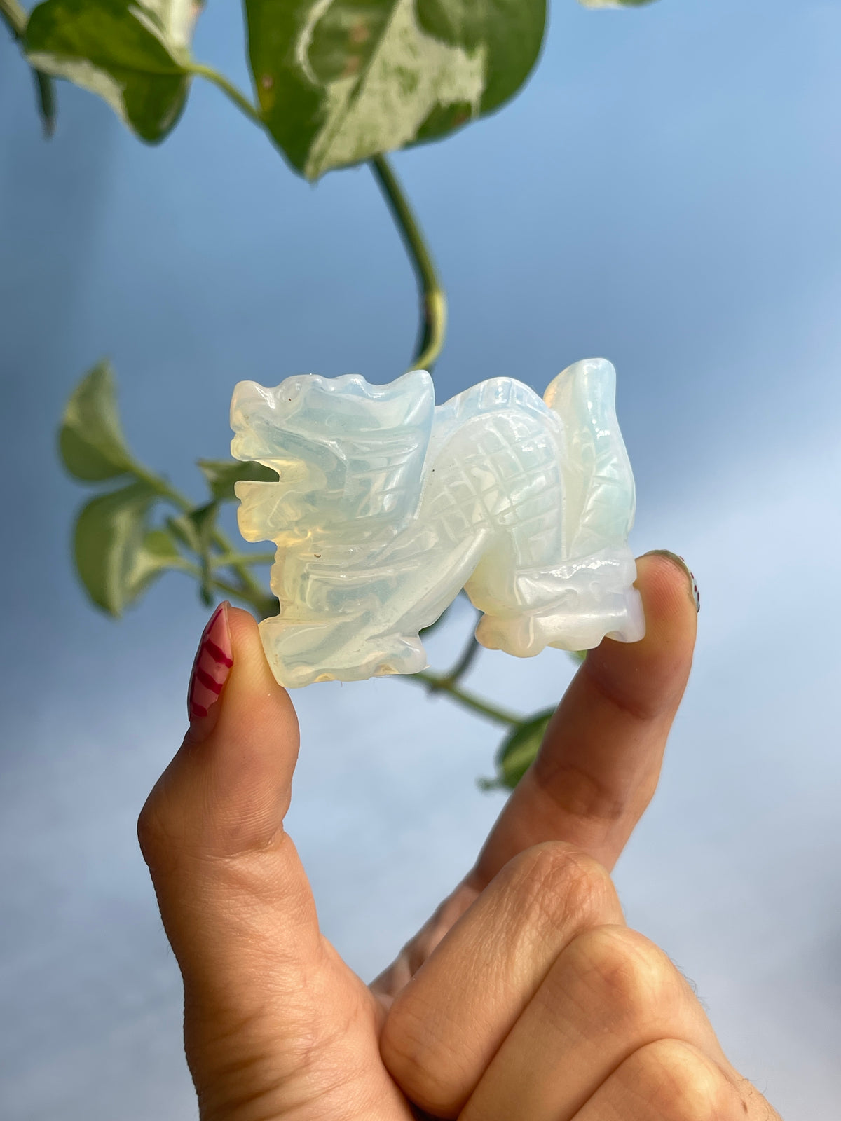 Carved Dragon Crystals