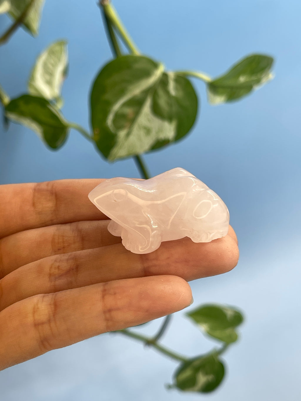 Rose Quartz Carved Frog