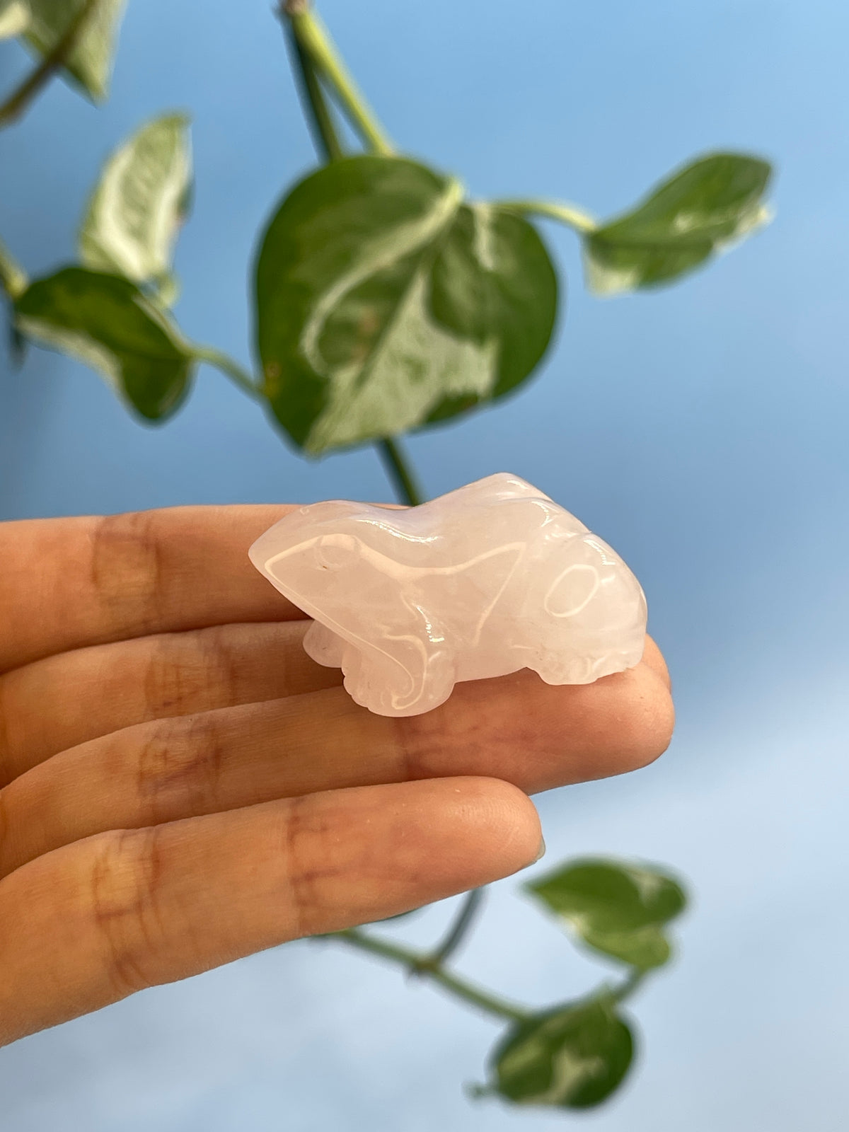 Rose Quartz Carved Frog