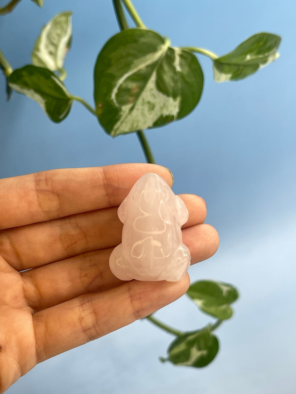 Rose Quartz Carved Frog