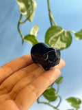 Carved Obsidian Piglet