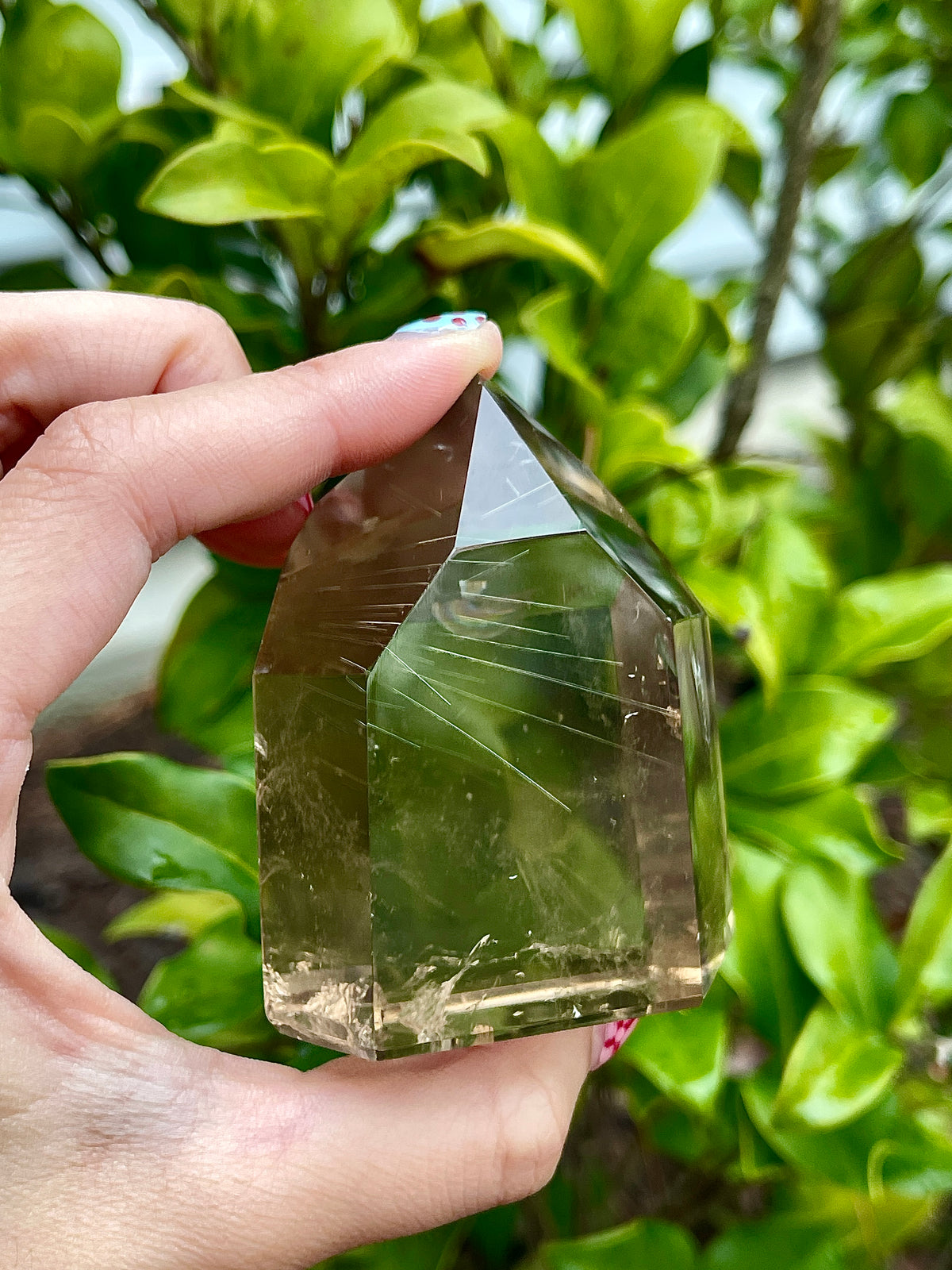 Rutliated Smoky Quartz Freeform