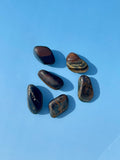 Blue Tiger Eye Tumbles