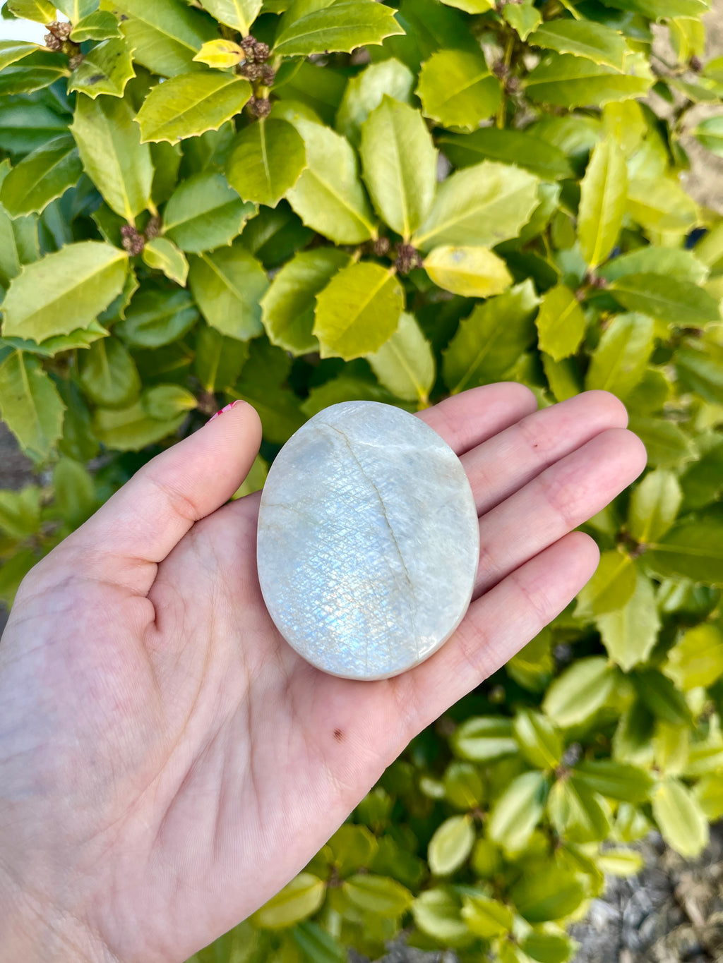 Moonstone Palmstones