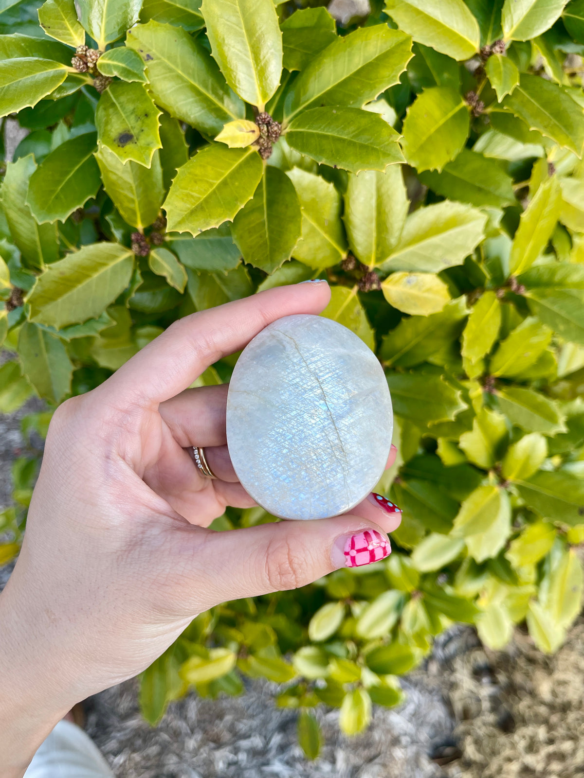 Moonstone Palmstones