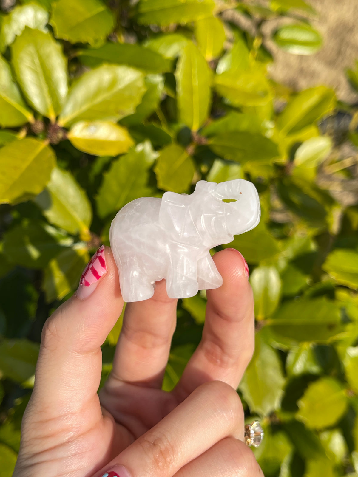 Carved Rose Quartz Elephant
