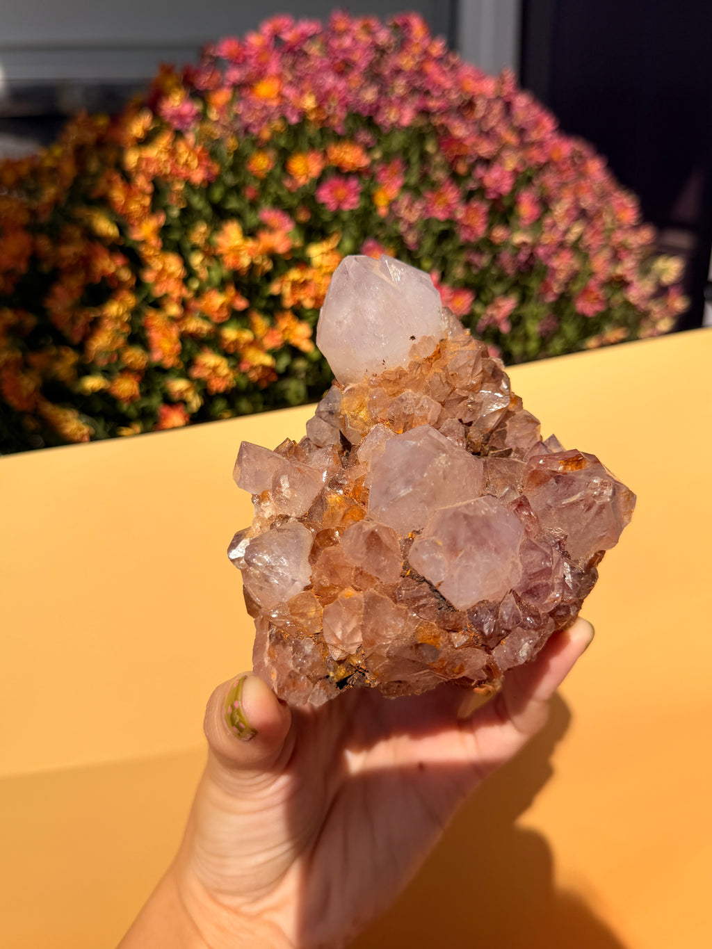 Cactus Quartz a.k.a Spirit Quartz Specimen