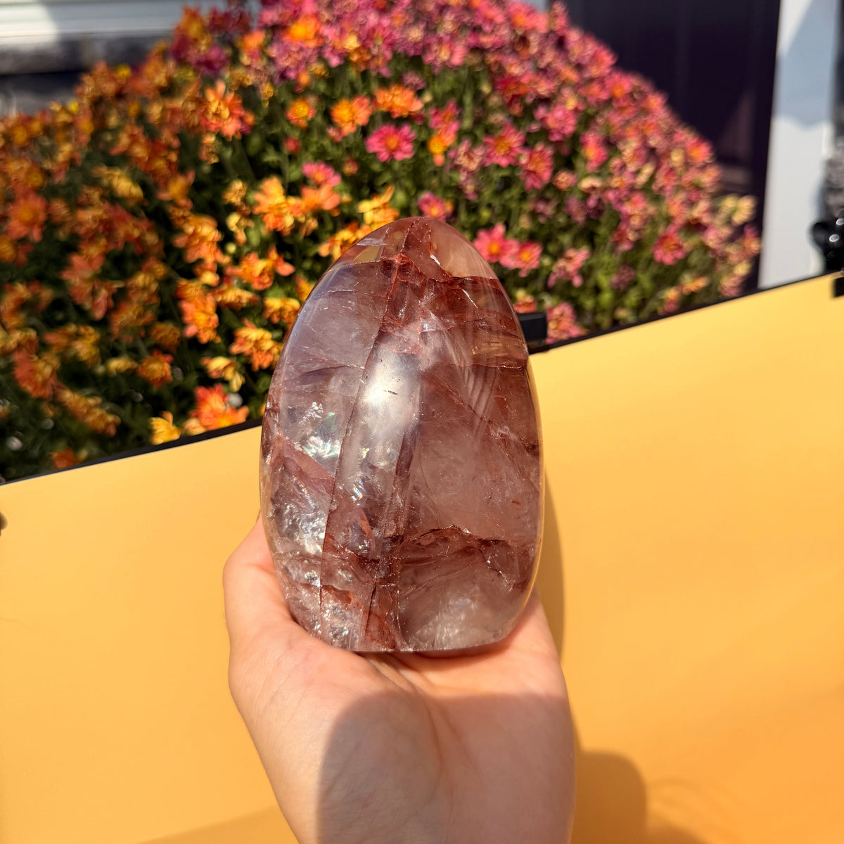 High Quality Hematoid Quartz with Rainbows Freeform