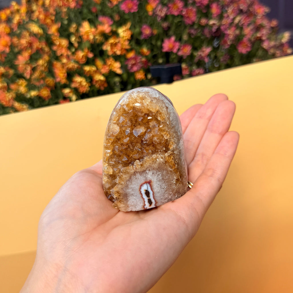 Peruvian Citrine Freeform