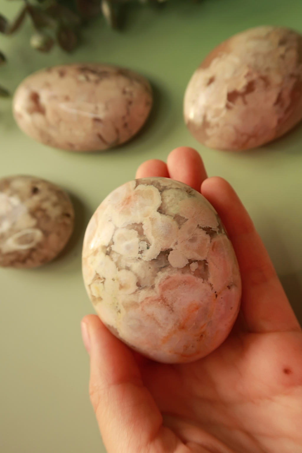 Blossom Agate Palm Stones